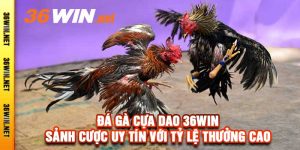 Đá Gà Cựa Dao 36Win - Sảnh Cược Uy Tín Với Tỷ Lệ Thưởng Cao